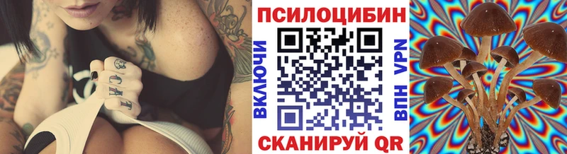 Галлюциногенные грибы Magic Shrooms  купить  сайты  Кашин 